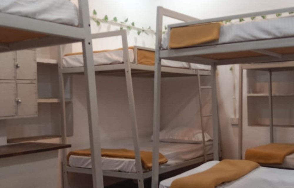 Mixed Dorm 1